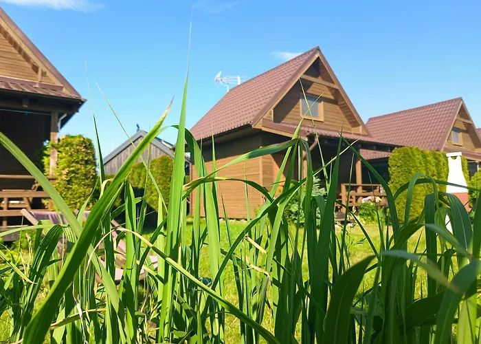 Hébergement de vacances Letniskowe W Kopalinie